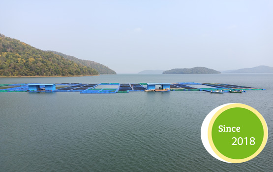 About MSD Aquaculture