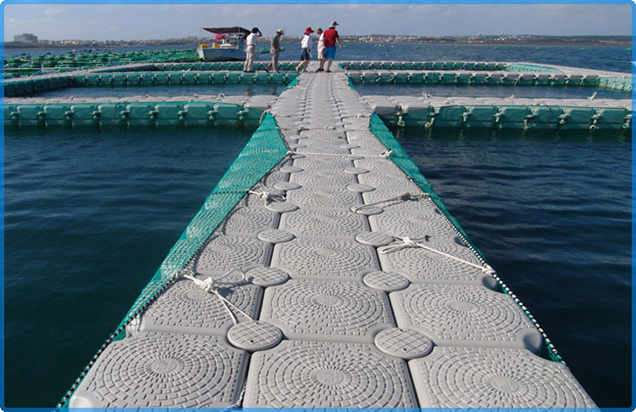 cage-fish-farming
