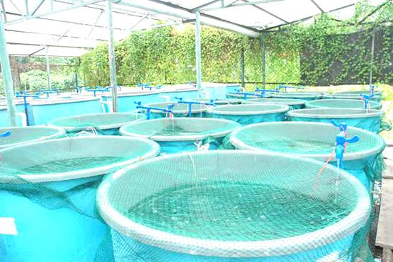 integrated-recycling-system